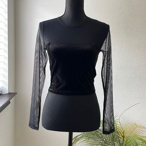Express Velvet Sheer Sleeve Crop Top!